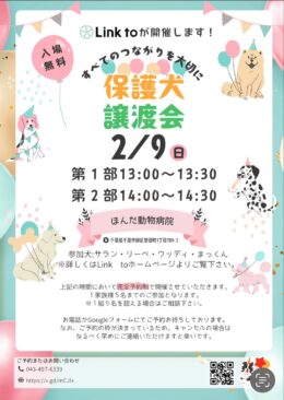 保護犬譲渡会