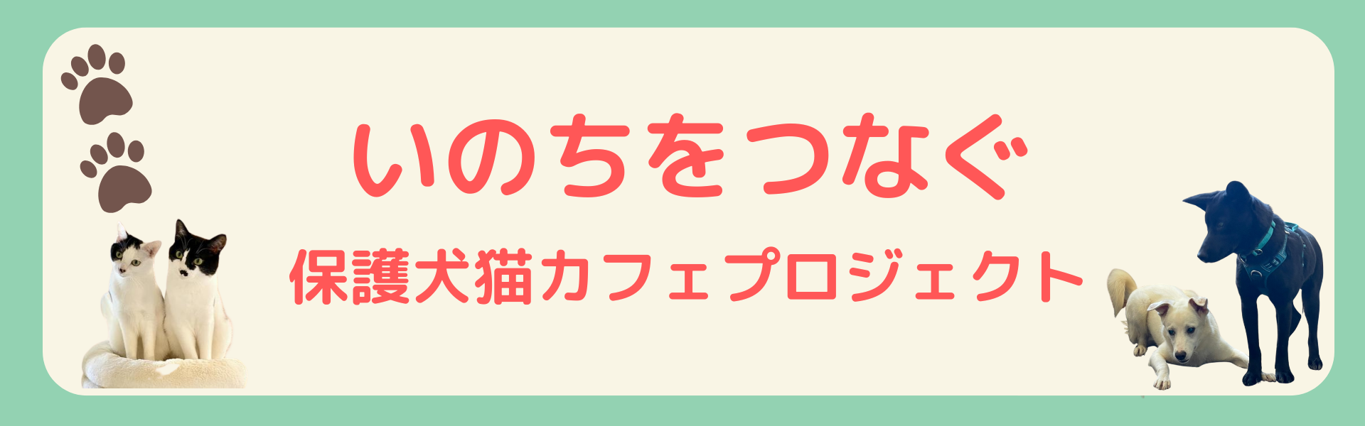 Link to