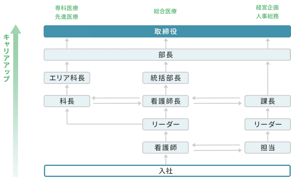 動物看護士のキャリア形成